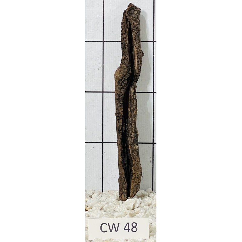 Corbo wood 48