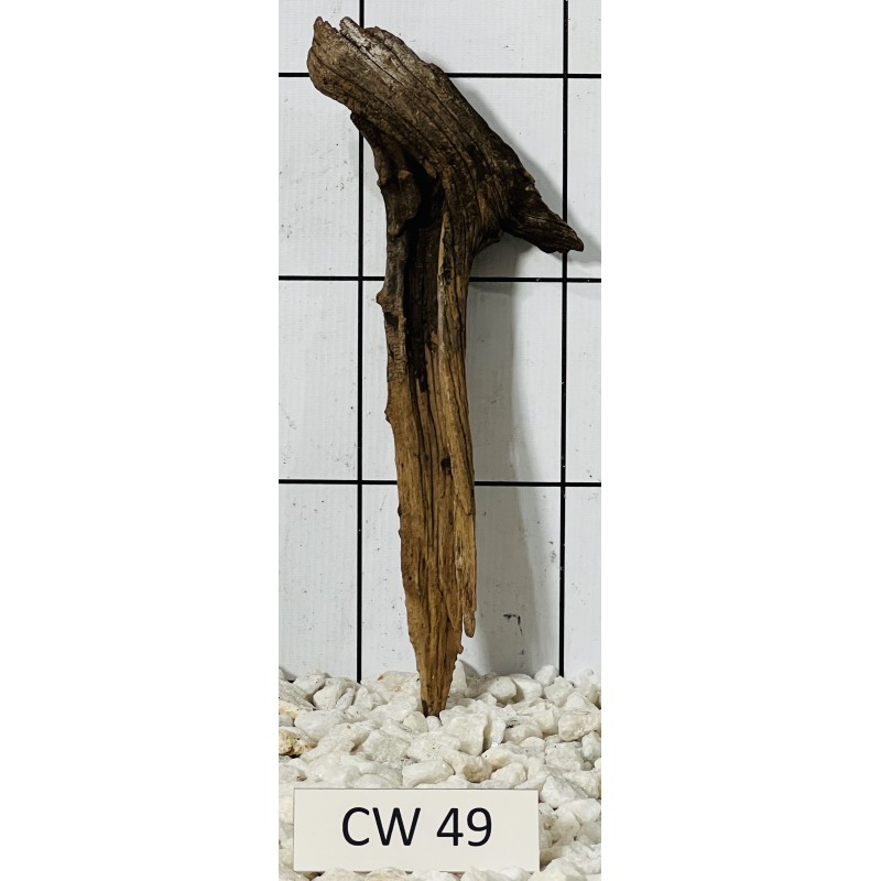 Corbo wood 49