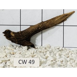 Corbo wood 49