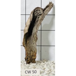 Corbo wood 50
