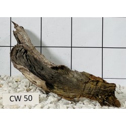 Corbo wood 50