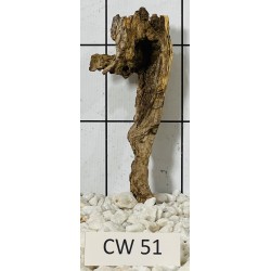 Corbo wood 51
