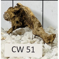 Corbo wood 51