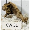 Corbo wood 51