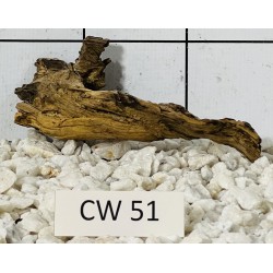 Corbo wood 51