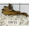 Corbo wood 51