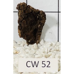 Corbo wood 52
