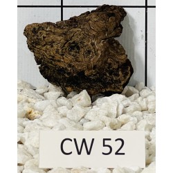 Corbo wood 52