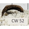 Corbo wood 52