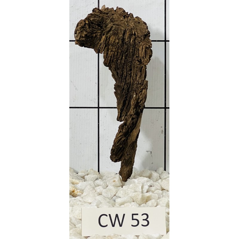 Corbo wood 53