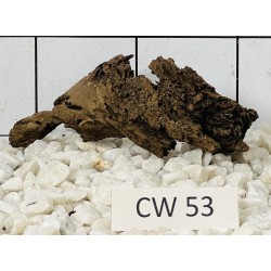Corbo wood 53