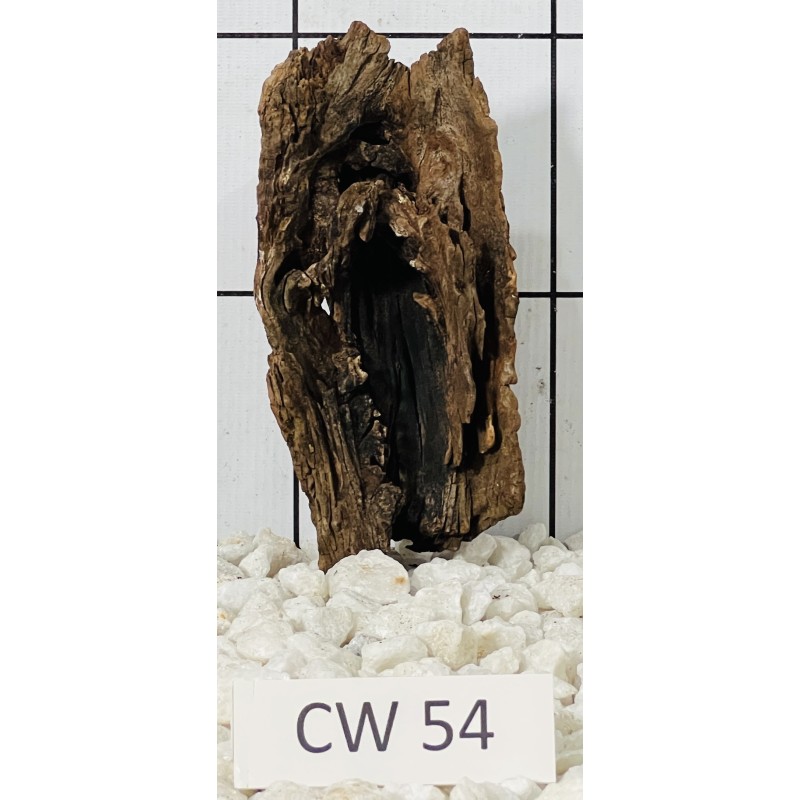 Corbo wood 54