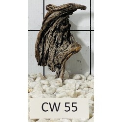 Corbo wood 55