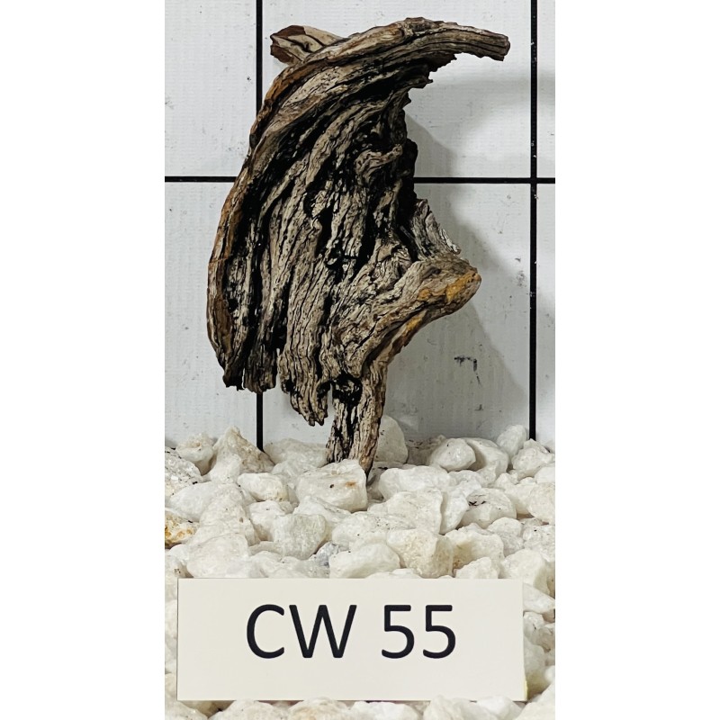 Corbo wood 55