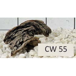 Corbo wood 55