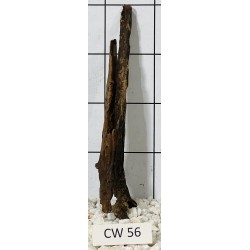 Corbo wood 56