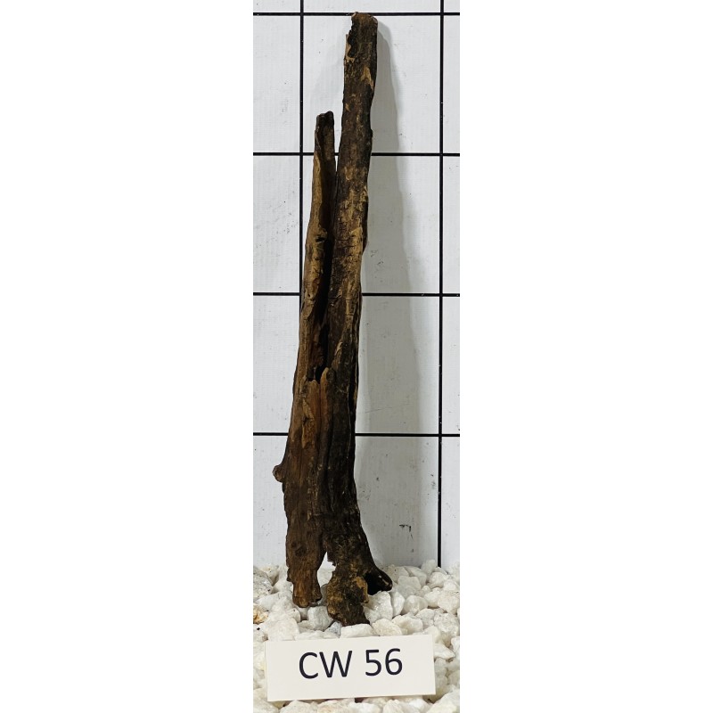 Corbo wood 56
