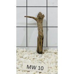 Mangrovewood 10