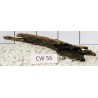 Corbo wood 56