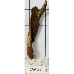 Corbo wood 57