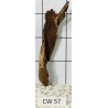 Corbo wood 57