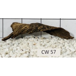 Corbo wood 57