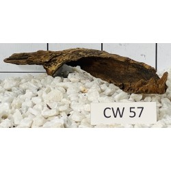 Corbo wood 57