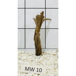 Mangrovewood 10