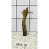 Mangrovewood 10