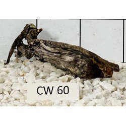 Corbo wood 60