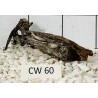 Corbo wood 60