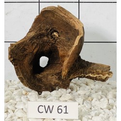 Corbo wood 61
