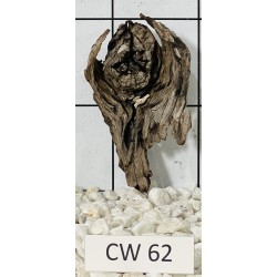 Corbo wood 62
