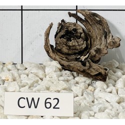 Corbo wood 62