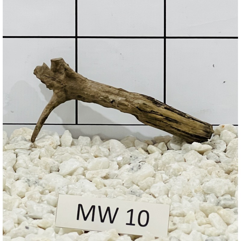 Mangrovewood 10