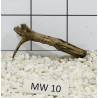 Mangrovewood 10