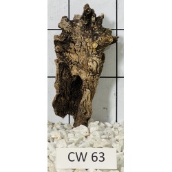 Corbo wood 63
