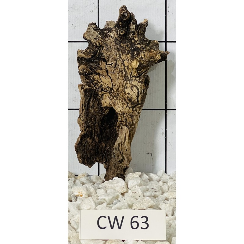Corbo wood 63