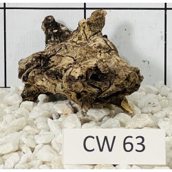 Corbo wood 63