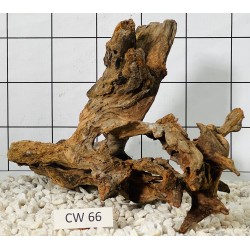 Corbo wood 66