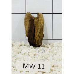Mangrovewood 11