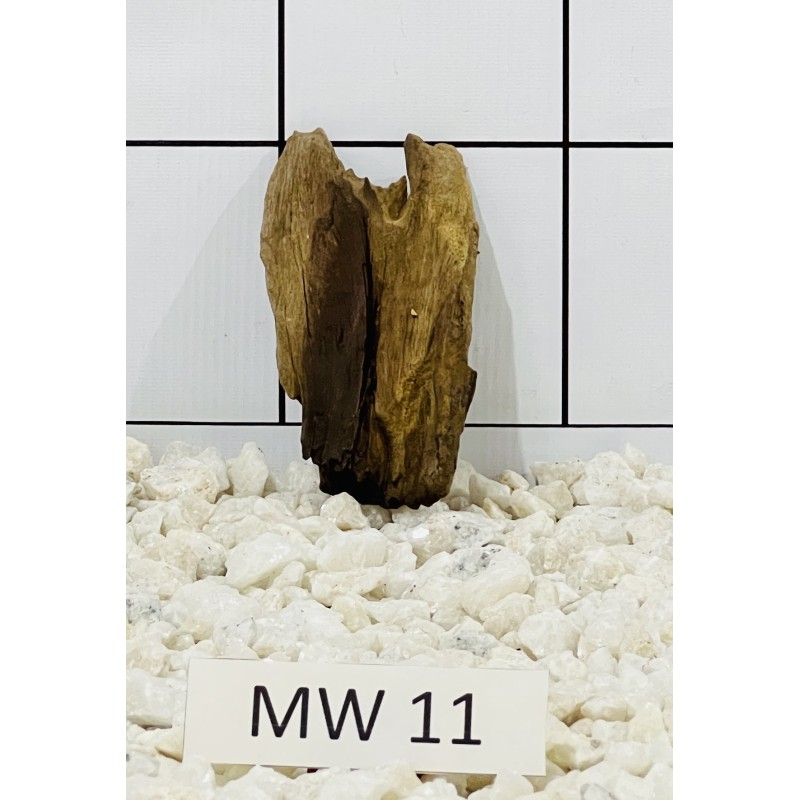 Mangrovewood 11
