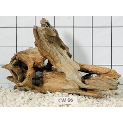 Corbo wood 66