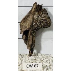 Corbo wood 67