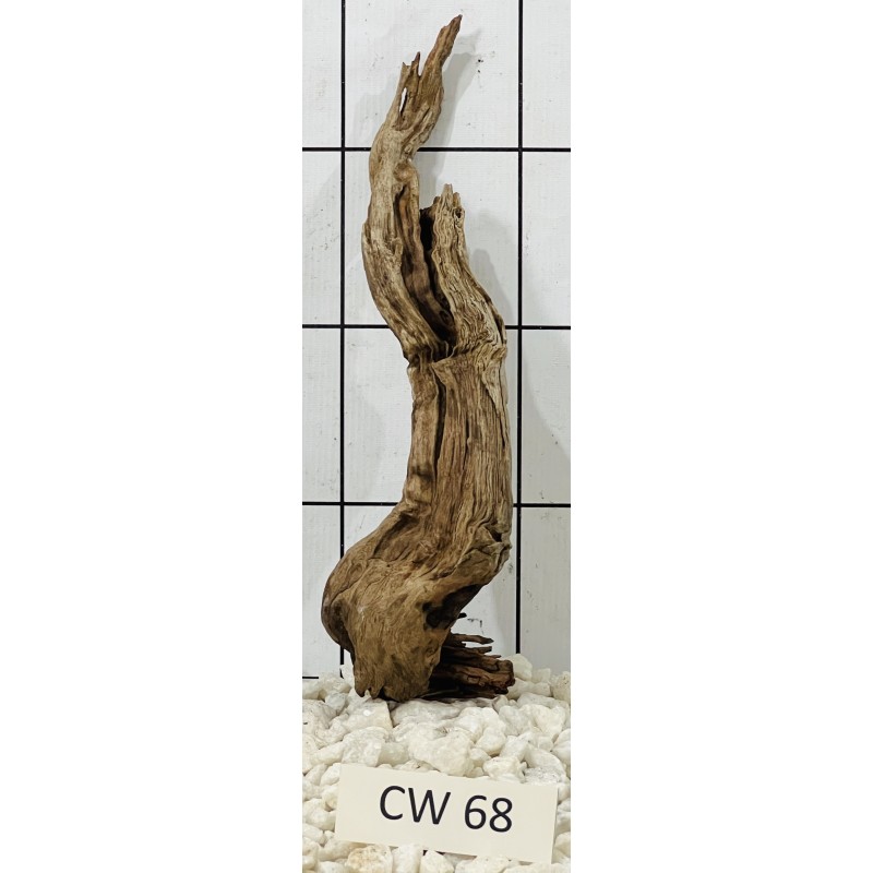 Corbo wood 68