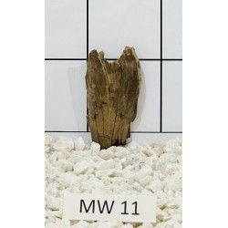 Mangrovewood 11