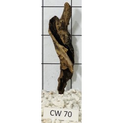 Corbo wood 70