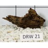 Dragonwood 21