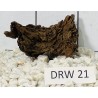 Dragonwood 21