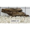 Dragonwood 22
